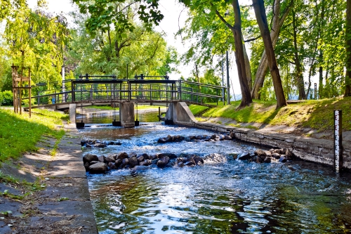 Szczecinek i okolice: najlepsze trasy na weekend kamperem